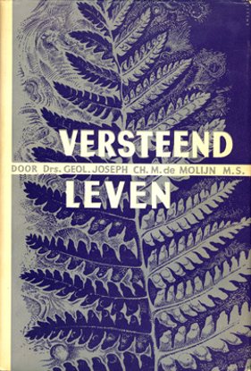 Picture of Versteend Leven