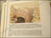 Image de The Holy Land I Love. Lithographs by David Roberts (1839)