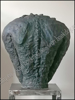 Picture of Intens, Gudrun DE VLAM [°1967]
