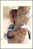 Afbeeldingen van Natotela Sana, Chisuma Mukwai Africa. Zes weken Zambia, Zanzibar en Zimbabwe