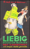 Image de Het handboek van de verstandige huisvrouw