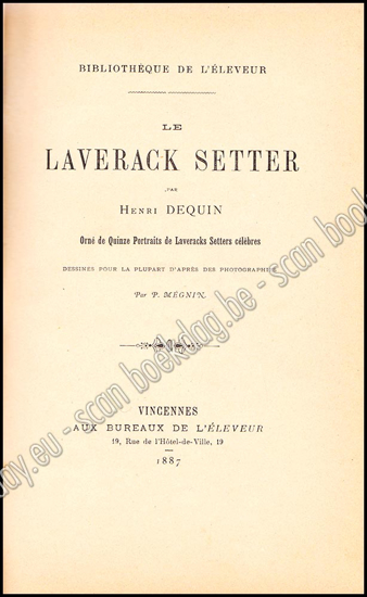 Image de Le Laverack Setter