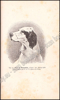 Image de Le Laverack Setter