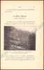 Picture of Le reboisement par les résineux