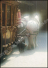 Afbeeldingen van Pride of the Shires. The Story of the Whitbread Horses