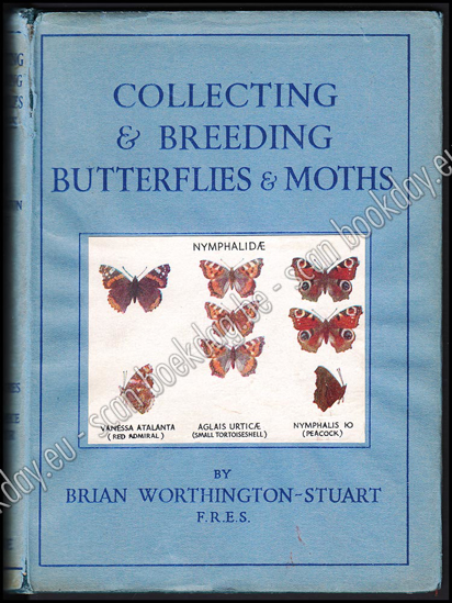Afbeeldingen van Collecting and Breeding Butterflies & Moths