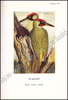 Picture of Calendrier Nature