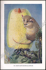 Picture of De dierenwereld van Insulinde in woord en beeld, I: Zoogdieren; II: Vogels
