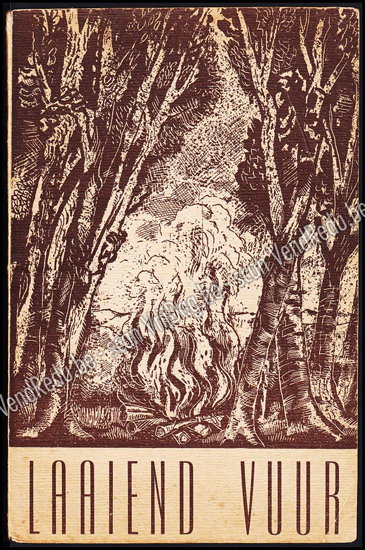 Image de Laaiend vuur. Werkboek voor een schoon en stijlvol kampvuur