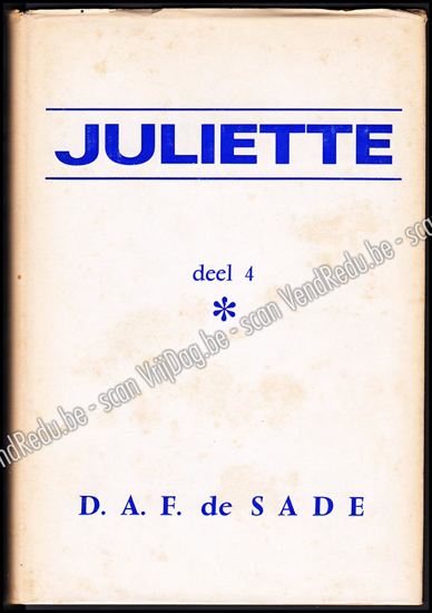 Picture of Juliette. Deel 4. (roman vertaald uit het Frans)