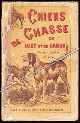 Picture of Les chiens : chiens de luxe et d'utilité, chiens de chasse, nomenclature, description, élevage, hygiène et maladies