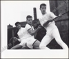 Picture of Colonies de vacances & Gymnasium de sport