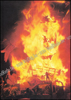 Picture of Fêtes et spectacles populaires
