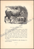Image de Three hundred Æsop's fables literally translated from the greek