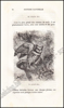 Afbeeldingen van Histoire Naturelle des Oiseaux, des Reptiles et des Poissons