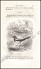 Afbeeldingen van Histoire Naturelle des Oiseaux, des Reptiles et des Poissons