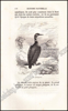 Afbeeldingen van Histoire Naturelle des Oiseaux, des Reptiles et des Poissons