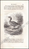 Afbeeldingen van Histoire Naturelle des Oiseaux, des Reptiles et des Poissons
