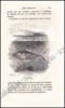 Afbeeldingen van Histoire Naturelle des Oiseaux, des Reptiles et des Poissons