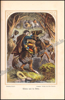 Picture of Der erste und älteste Robinson. Robinson Crusoe des Älteren Reisen, wunderbare Abenteuer und Erlebnisse