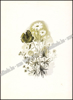 Afbeeldingen van Esso Magazine. Jrg 5, Nr. 1, januari 1957. Bloemen