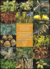 Picture of Guide illustré des chênes (2 volumes)